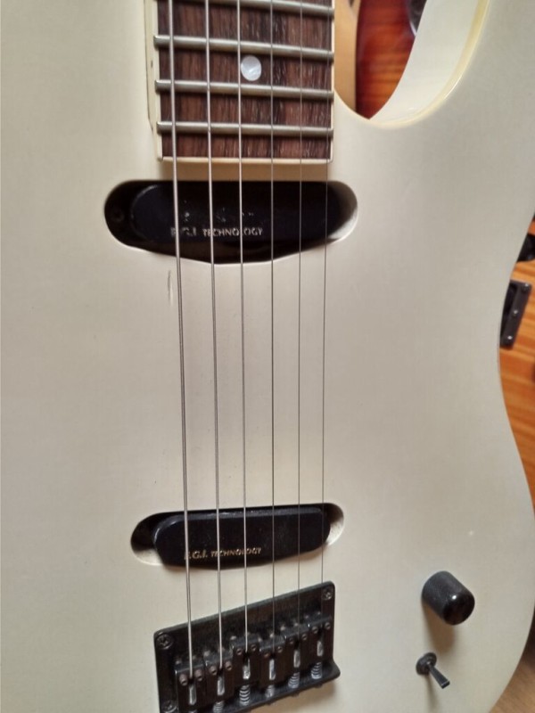 Fernandes TE-75BT : HOTELAdriano