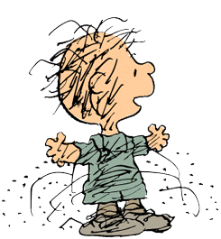 Franklin Pigpen フランクリンとピッグペン Snoopy