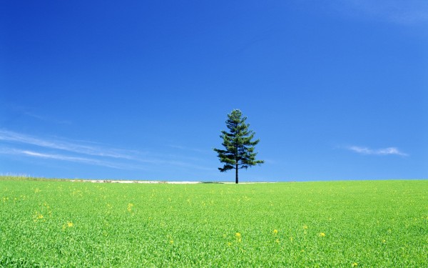 Hokkaido Scenery 北海道 景色 壁紙収録