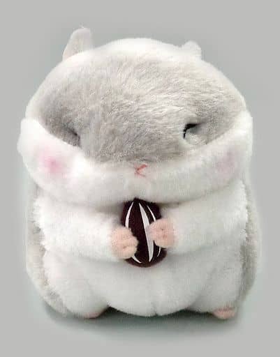 ジャンくん たっちスタンダードぬいぐるみ ころはむコロン おもちゃの新入荷 再入荷最速情報