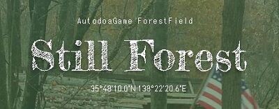 サバイバルゲームフィールド Still Forest スティールフォレスト 山梨県 北杜市 アウトドアフィールド 森林 エアーソフトラボ