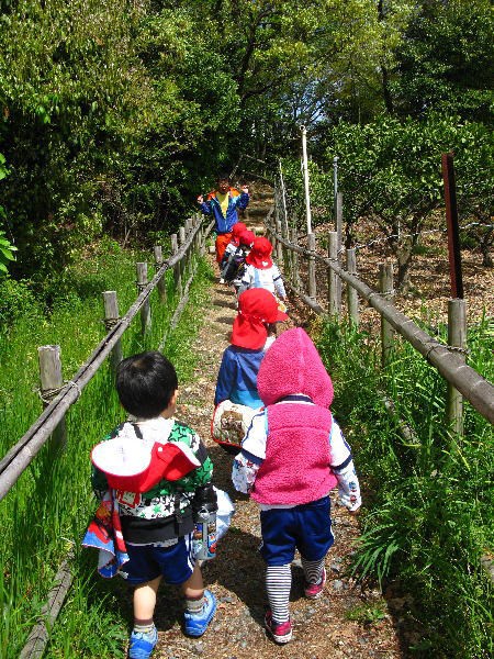 目には青葉 相生山オアシスの森 スタンツ通信 いきいき のびのび でっかい子