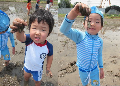 泥んこあそび スタンツ通信 いきいき のびのび でっかい子