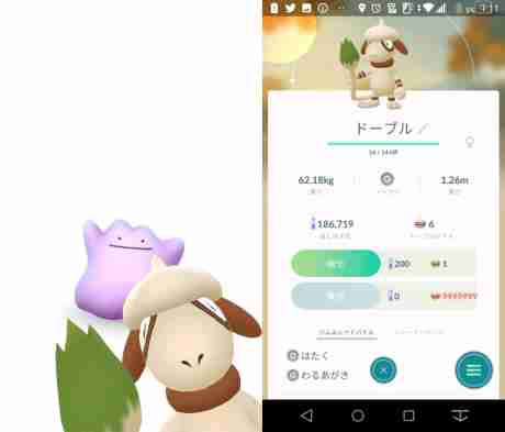 ポケモンgo 最後の金銀ポケモン ドーブル 登場 すうせいニュース