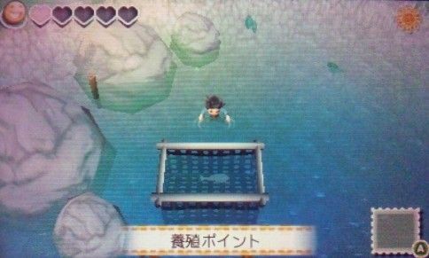 牧場物語つながる新天地12 最高品質を目指して チラシの裏メモ