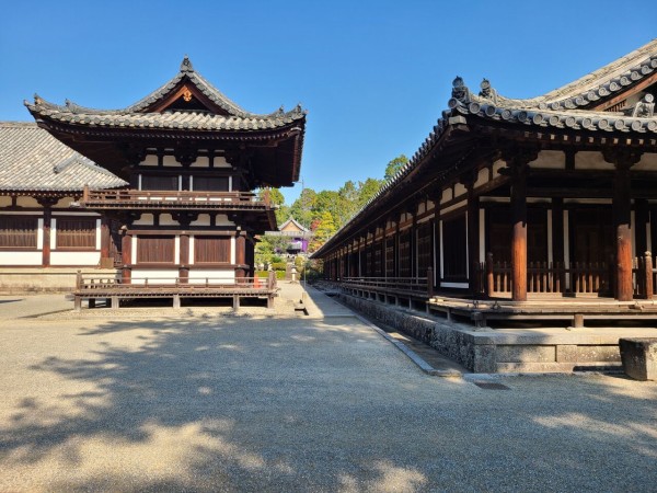 キャンピングカーの旅@秋の旅第46日目（累計第920日） : 烟霞淡泊