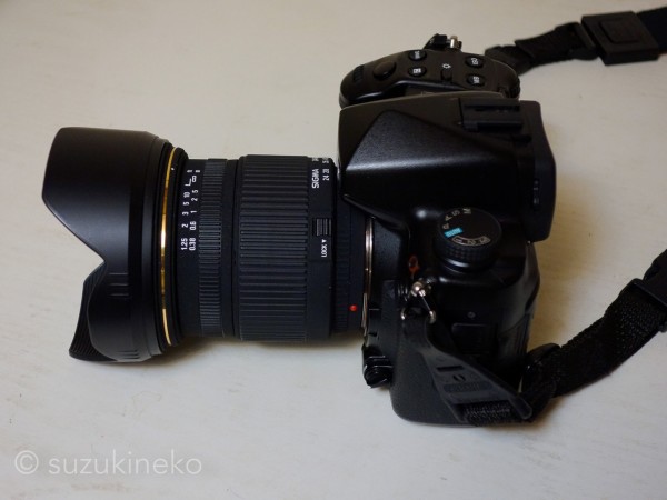 これぞ標準ズーム！SIGMA 24-60mm F2.8 EX DG : ～猫の鼻