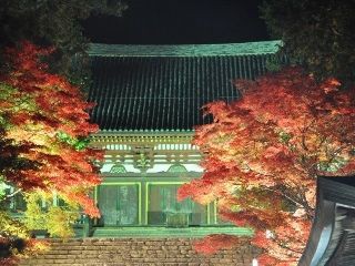 京都高雄山神護寺の紅葉ライトアップ 2014の開催日は お祭りイベント開催日程紹介サイト