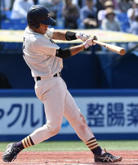 ヤナセNPB木製バット （TOP - YANASE BAT COMPANY）