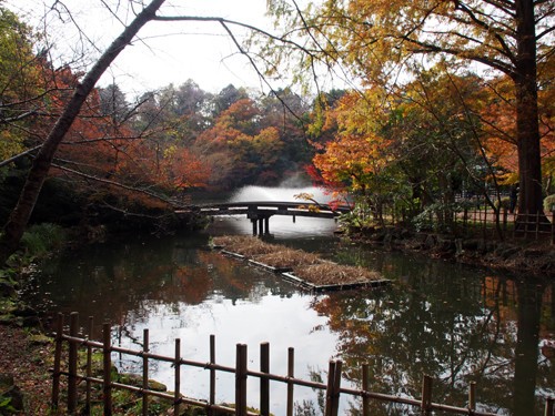 高岡古城公園で紅葉狩り おいしいblog