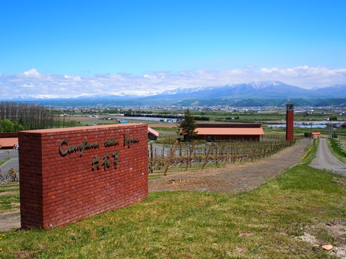 ジンギスカン白樺 富良野店 おいしいblog