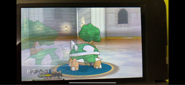 ポケットモンスターx ドダイトスシンオウ凱旋計画act 人生初のガチパーティー 激闘バトルハウス Swgmのアメとアメ