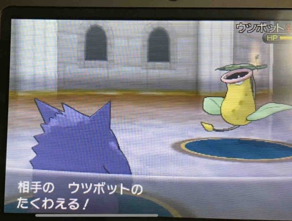 ポケットモンスターx ドダイトスシンオウ凱旋計画act 人生初のガチパーティー 激闘バトルハウス Swgmのアメとアメ