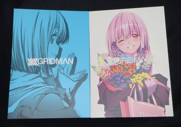 SSSS.GRIDMAN STARTER BOOK | www.carmenundmelanie.at