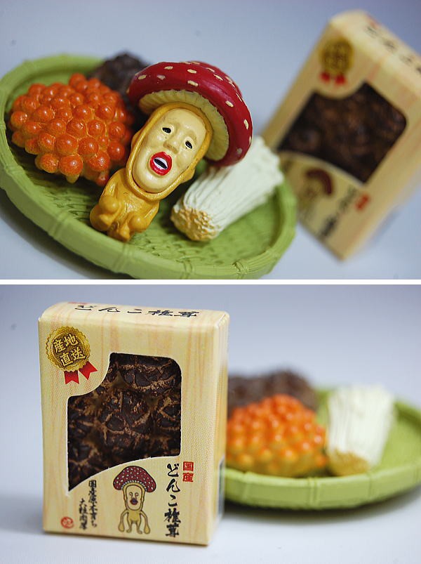 産地直送 とれたてこびとづかん(リーメント) 商品レビュー : 食