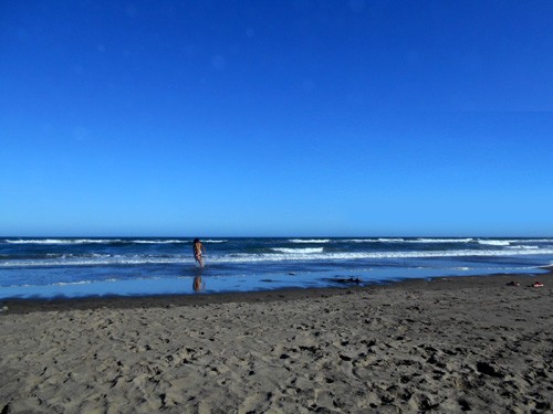 蓮沼ウォーターガーデン 新 しょぺのblog