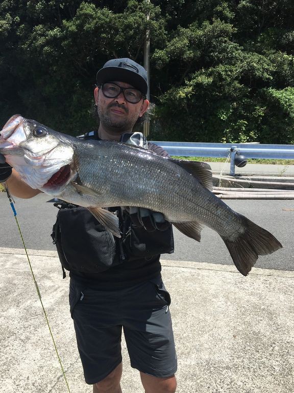 釣果 にこにこ 渡船