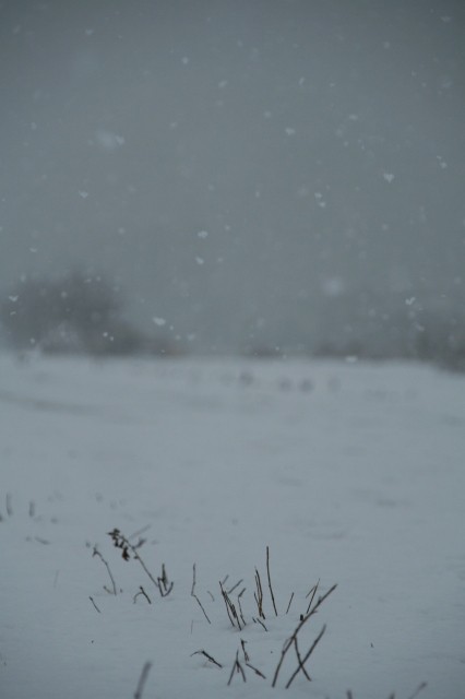 淡雪の読み方と意味 あわゆき と たんせつ 正しいのは