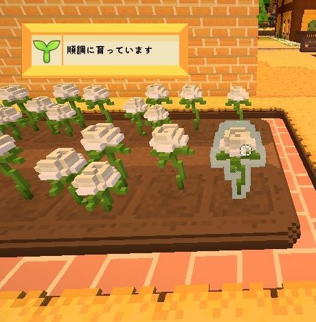 Staxel 白いバラの種を植えました ファーム日和