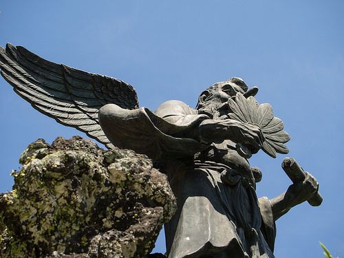 新入社員がすごい天狗に乗ってるんだが 流速vip