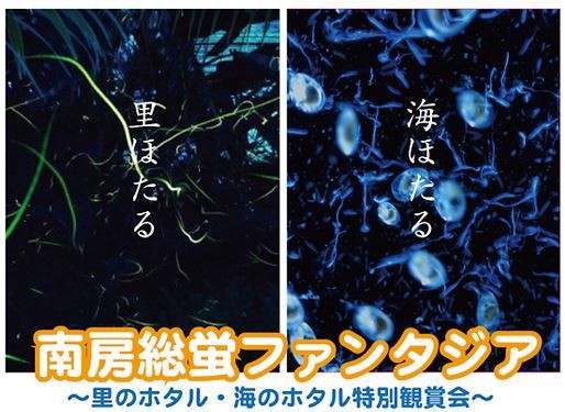 更新 8月上旬まで見頃のレア蛍も ホタル を観に出かけよう 全国のホタル観賞宿泊プラン特集 旅のプロ たび寅 いちおし宿 旅行プラン