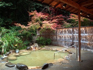 リピーター多数 紅葉の聖地と呼ばれる大庭園がある日本旅館 兵庫 姫路 上山旅館 旅のプロ たび寅 いちおし宿 旅行プラン