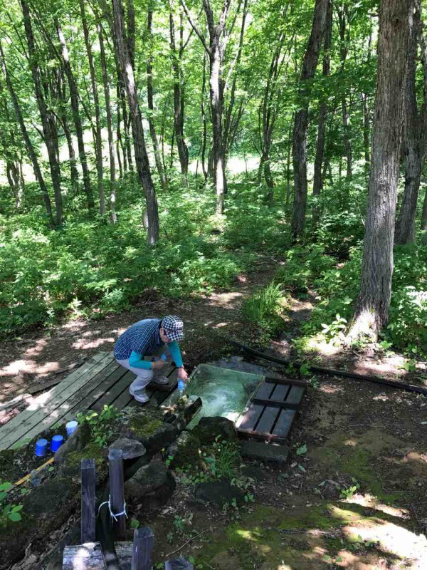 山上の可憐なひめさゆり 南会津 19初夏 たびのおととか 旅の音と香