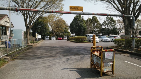 材木の製材と乾燥にこだわる材木屋 千葉県八街材木置き場からのメッセージ