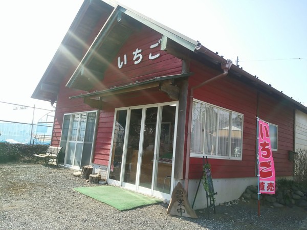 酒々井いちご直売 炭育ちの電子苺 鈴木いちご園 で 材木の製材と乾燥にこだわる材木屋 千葉県八街材木置き場からのメッセージ