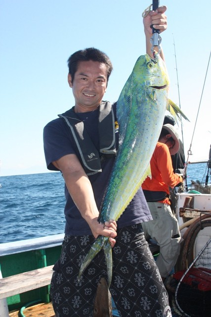 大漁企画 シイラ釣り大会 ｉｎ 西伊豆 ２０１２ マヒマヒだぜ ワイルドだろ 菅原正志の 世田谷漁報