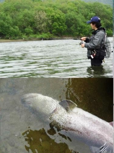 鬼退治 神谷悠山さん 伊藤敏雄さん ホッカイドー 菅原正志の 世田谷漁報