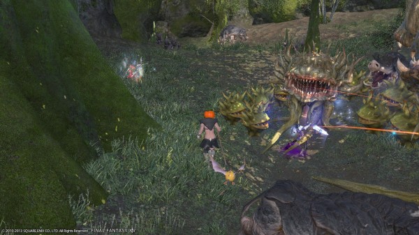 Ff14 G5のトレジャーハントにいったらキマイラさんに襲われたでござる はるぼーど