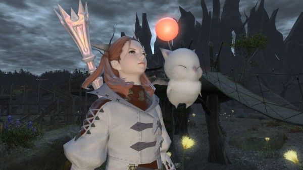 Ff14 白魔道士がlv 46になりまして Id行って戦ったり Afを貰いに行ってラヤ オ センナたんをぺろぺろしたり はるぼーど