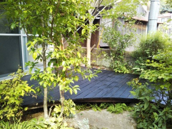 水やり中の小さな発見 小さな秋 みぃつけた 大洋グリーンブログ