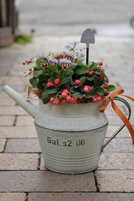 冬の寄せ植え 参考になればうれしいです 大洋グリーンブログ