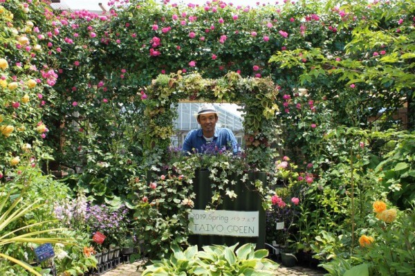 あじさい 水色の恋 万華鏡 寄せ植えオンパレ 大洋グリーンブログ