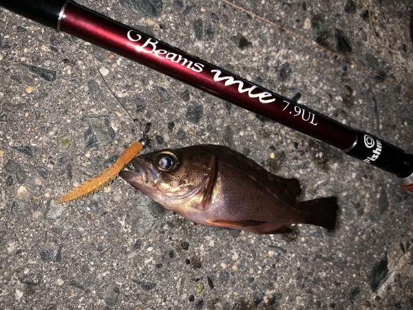 激安 Fishman inte79ul beams ロッド