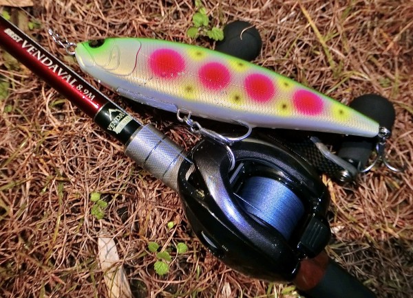 SEABASS Life NO.14 秋号』 好評発売中！ | 月刊つり人ブログ