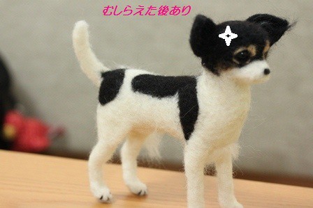 羊毛フェルト 目を直してみた編 たかシェフのおうちごはん と 白い犬 と チワワ Powered By ライブドアブログ