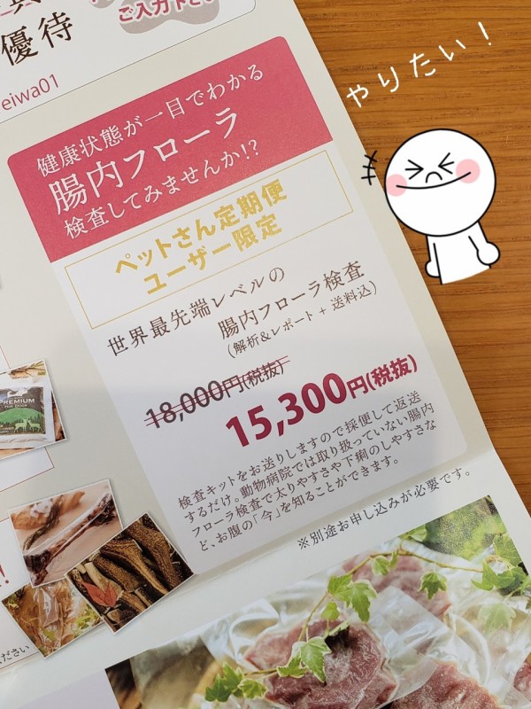 犬 腸内フローラ を調べてみたよ たかシェフのおうちごはん と 白い犬 と チワワ Powered By ライブドアブログ