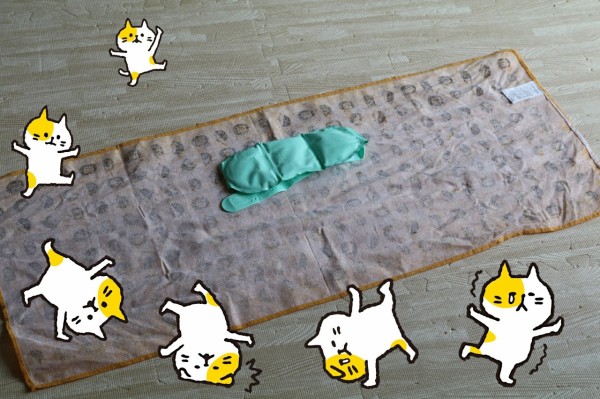 犬グッズ 究極のクールネックを探し求めて たかシェフのおうちごはん と 白い犬 と チワワ Powered By ライブドアブログ