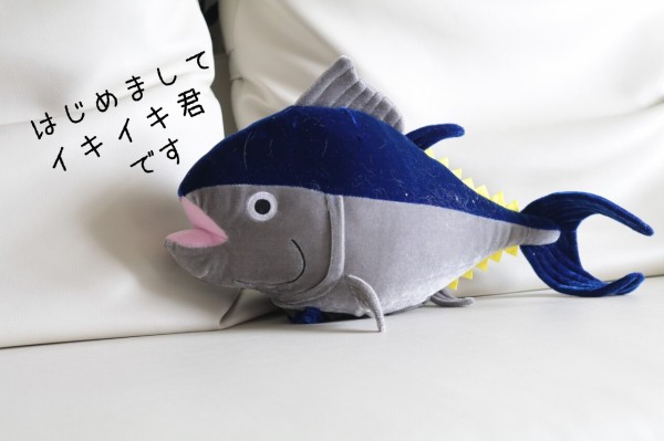 犬 今日の犬 たかシェフのおうちごはん と 白い犬 と チワワ Powered By ライブドアブログ