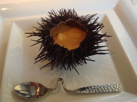 友人とランチに行く シェ トモ 白金店 たかシェフのおうちごはん と 白い犬 と チワワ Powered By ライブドアブログ