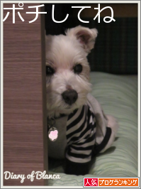 バウリンガル たかシェフのおうちごはん と 白い犬 と チワワ Powered By ライブドアブログ