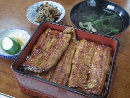 うなぎを食べた 亀六 たかシェフのおうちごはん と 白い犬 と チワワ Powered By ライブドアブログ