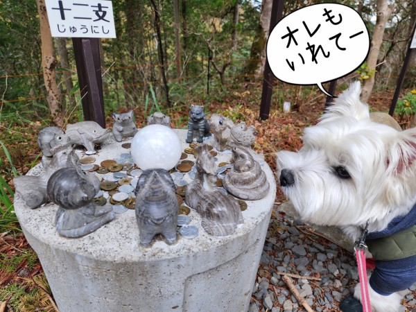 茨城の旅】鷲子山上神社 : たかシェフのおうちごはん。と、白い犬。と
