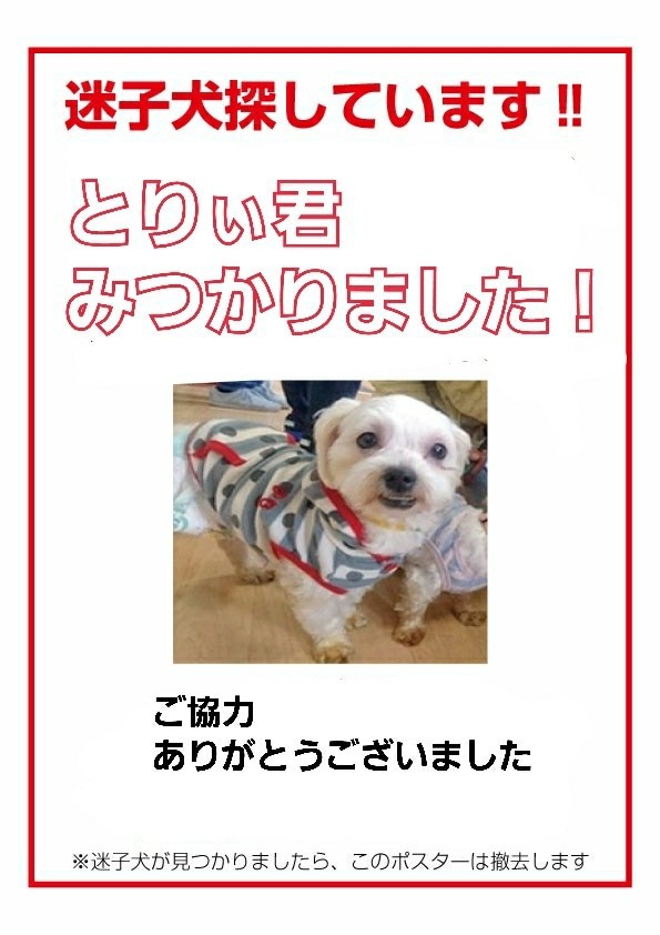 拡散希望 続 Archっ子が迷子になりました 捜索に参加してみました たかシェフのおうちごはん と 白い犬 と チワワ Powered By ライブドアブログ