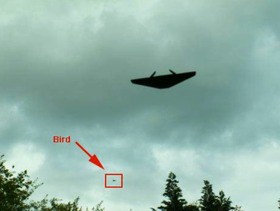 大気獣 29 マンタ形ufoはフェイク それともフライング レイ Manta Ray Shaped Ufo Is Fake Or Flying Ray 13shoe 高野十座のブログ