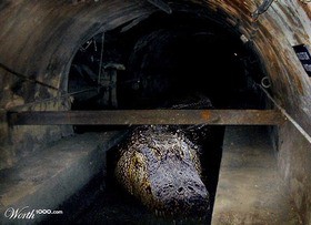 謎写真 下水溝の巨大ワニ Sewage Super Gigantic Crocodile 13shoe 高野十座のブログ