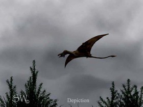 プテロサウルスは獲物を咥えて飛ぶ Flying Pterosaur Is Prey Into Mouth 13shoe 高野十座のブログ プテロサウルスは獲物を咥えて飛ぶ Flying Pterosaur Is Prey Into Mouth 13shoe 高野十座のブログ